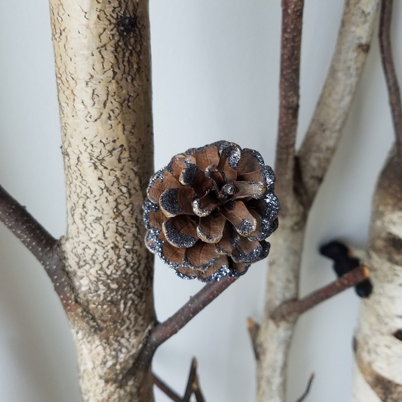 Glittered Pinecones - Picture 8 of 11